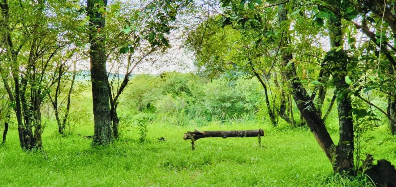 Lorian Safari Camp Limited Hotel Narok Exterior photo